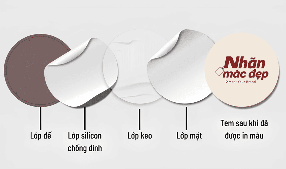 Cấu tạo decal