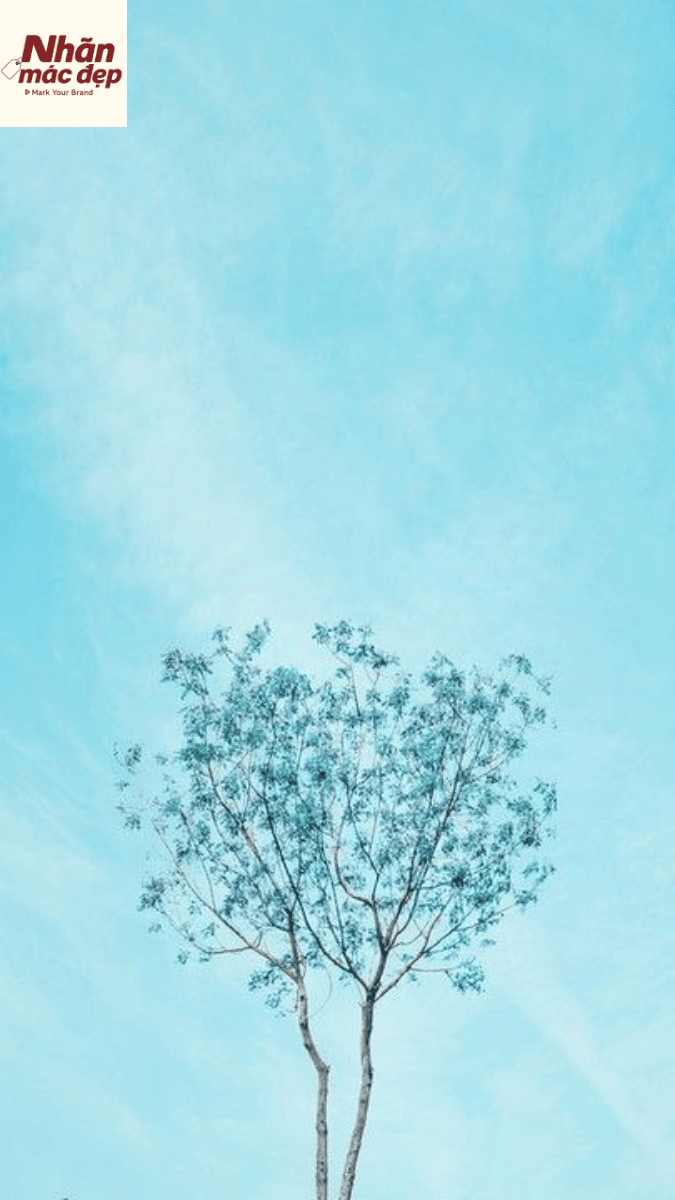 Nhãn Mác Đẹp