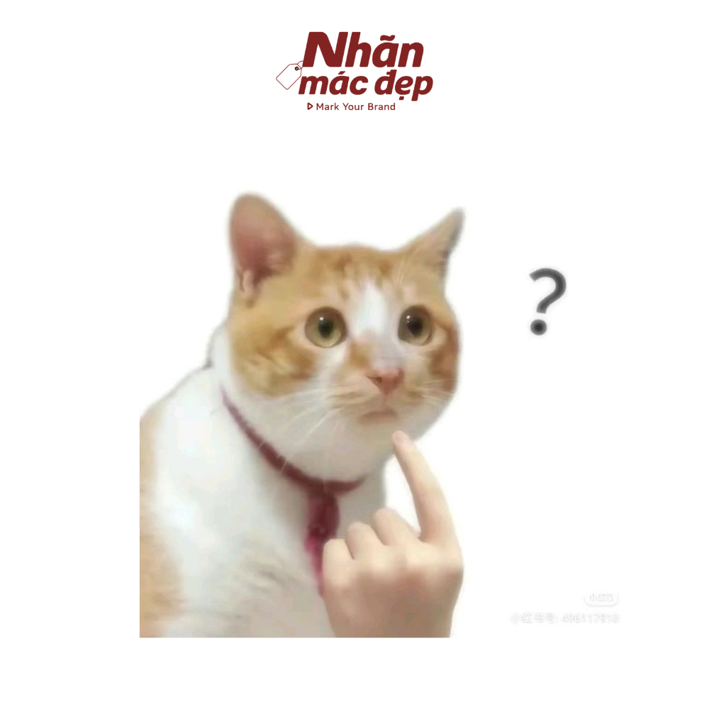 Nhãn Mác Đẹp