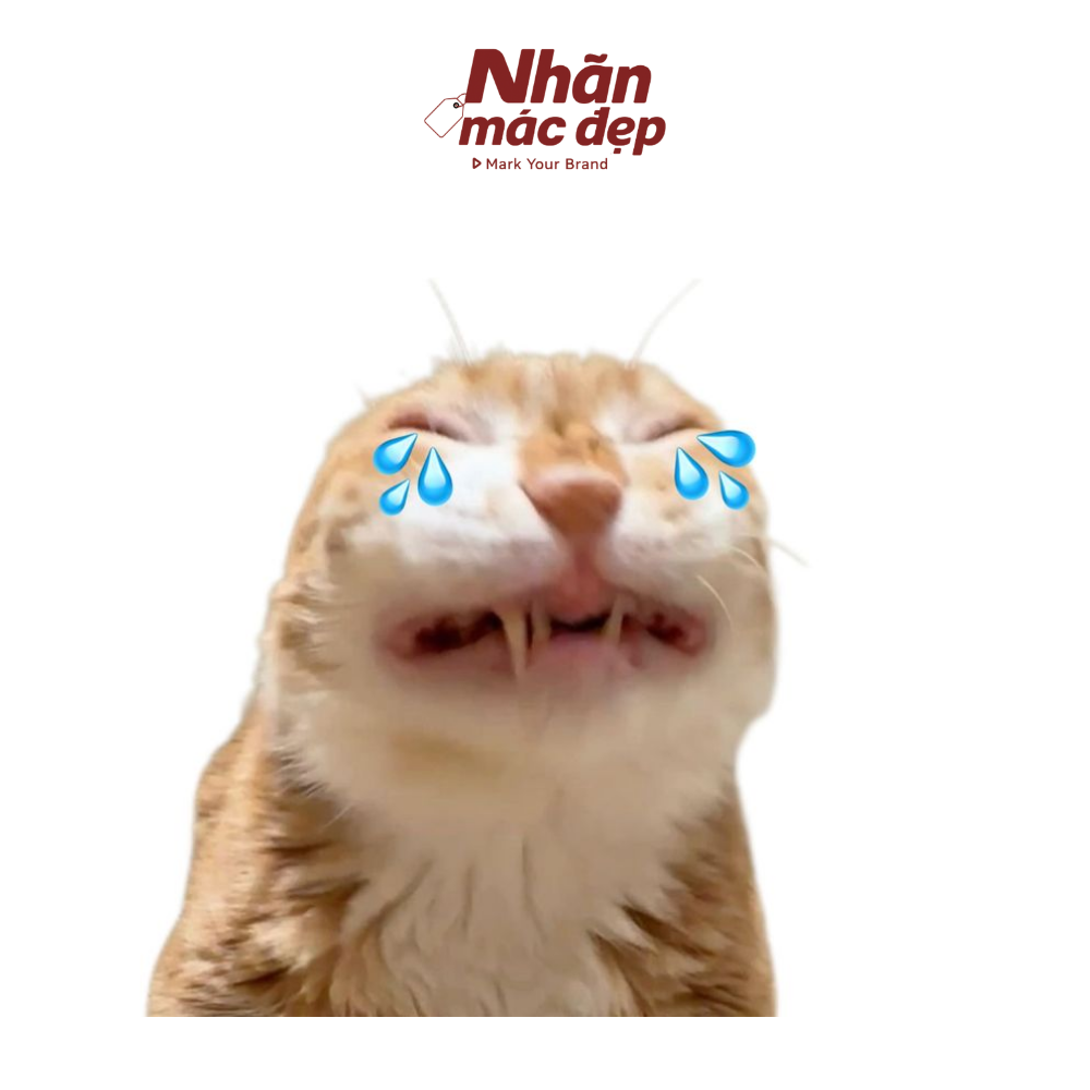 Nhãn Mác Đẹp