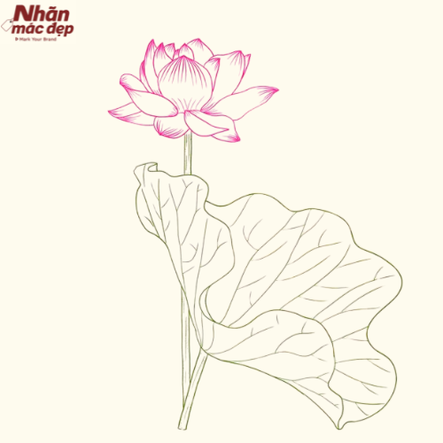 Nhãn Mác Đẹp