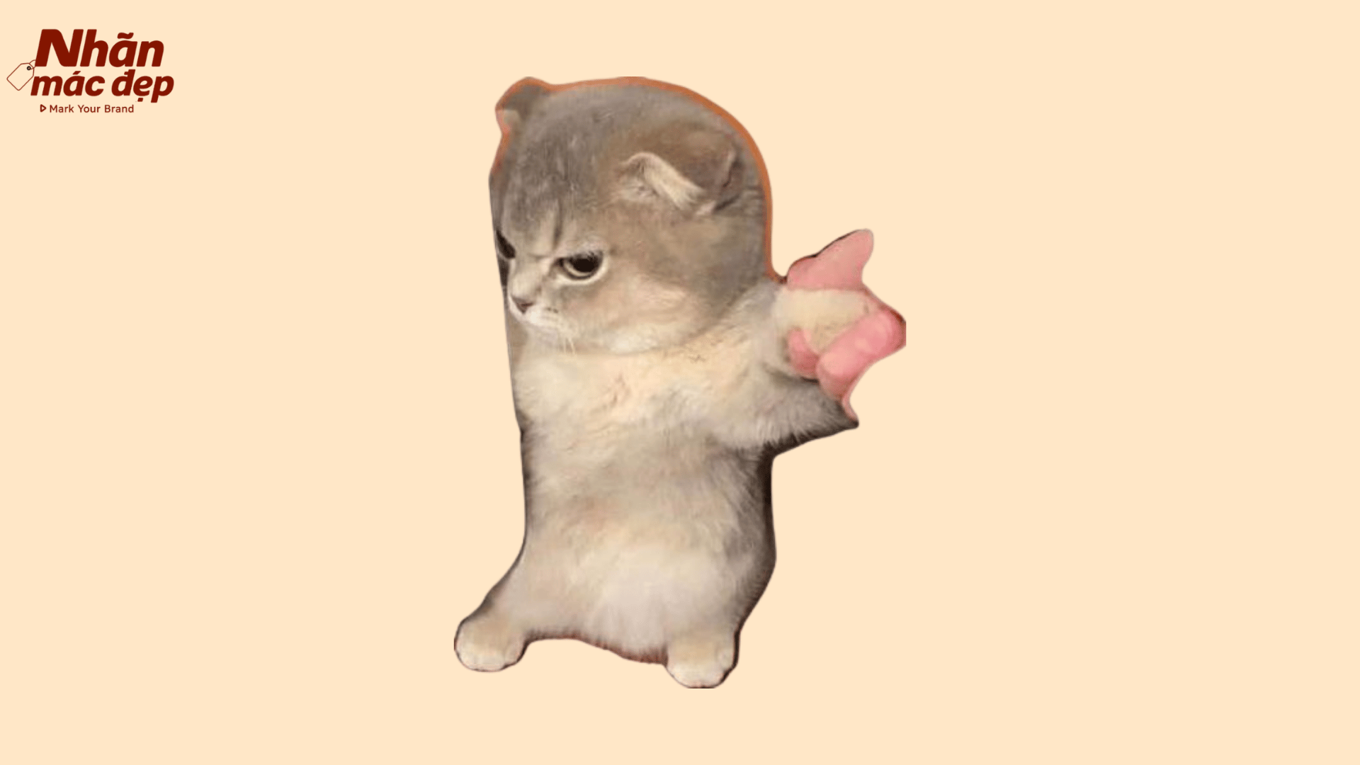 Nhãn Mác Đẹp