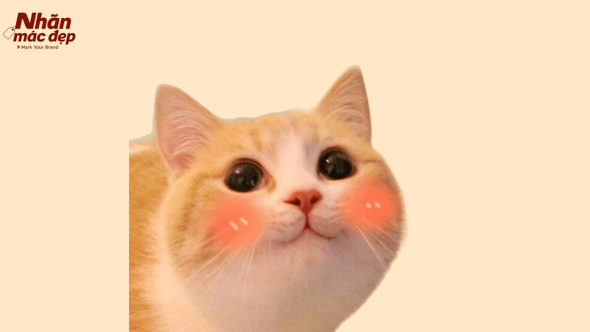 Nhãn Mác Đẹp