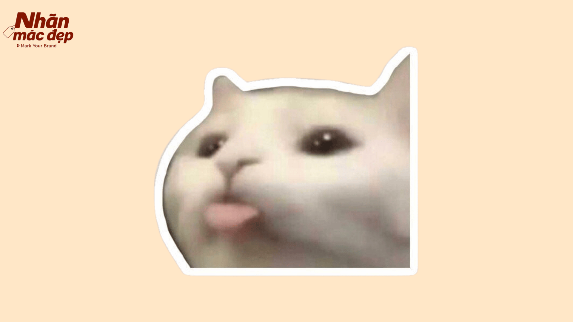 Nhãn Mác Đẹp