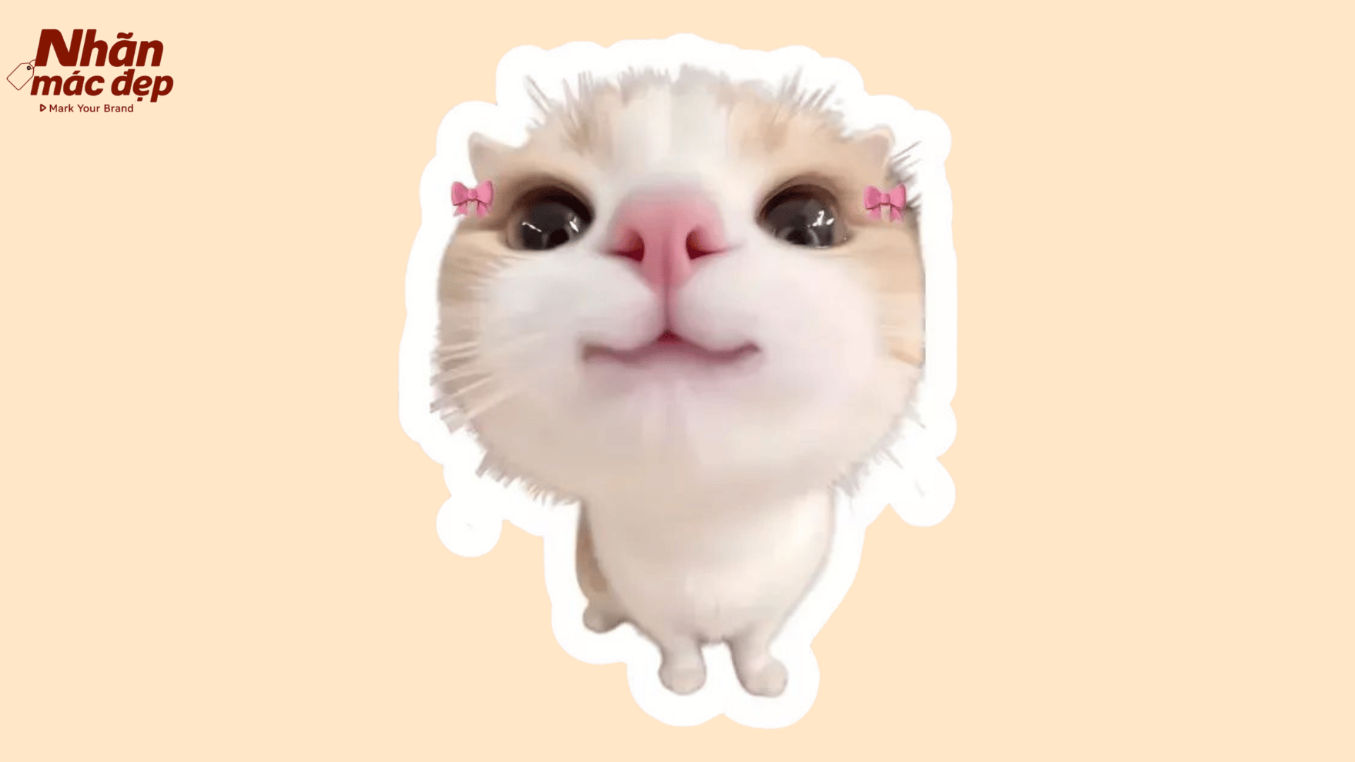Nhãn Mác Đẹp