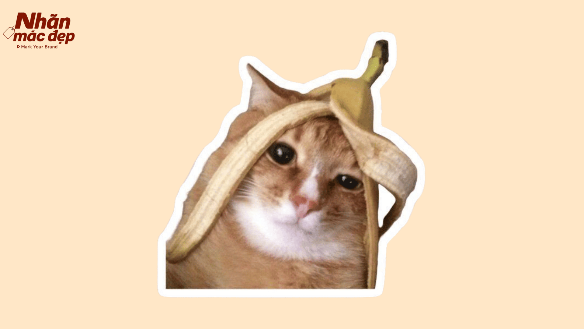 Nhãn Mác Đẹp