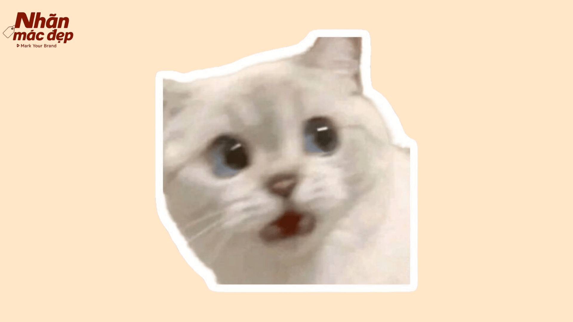 Nhãn Mác Đẹp