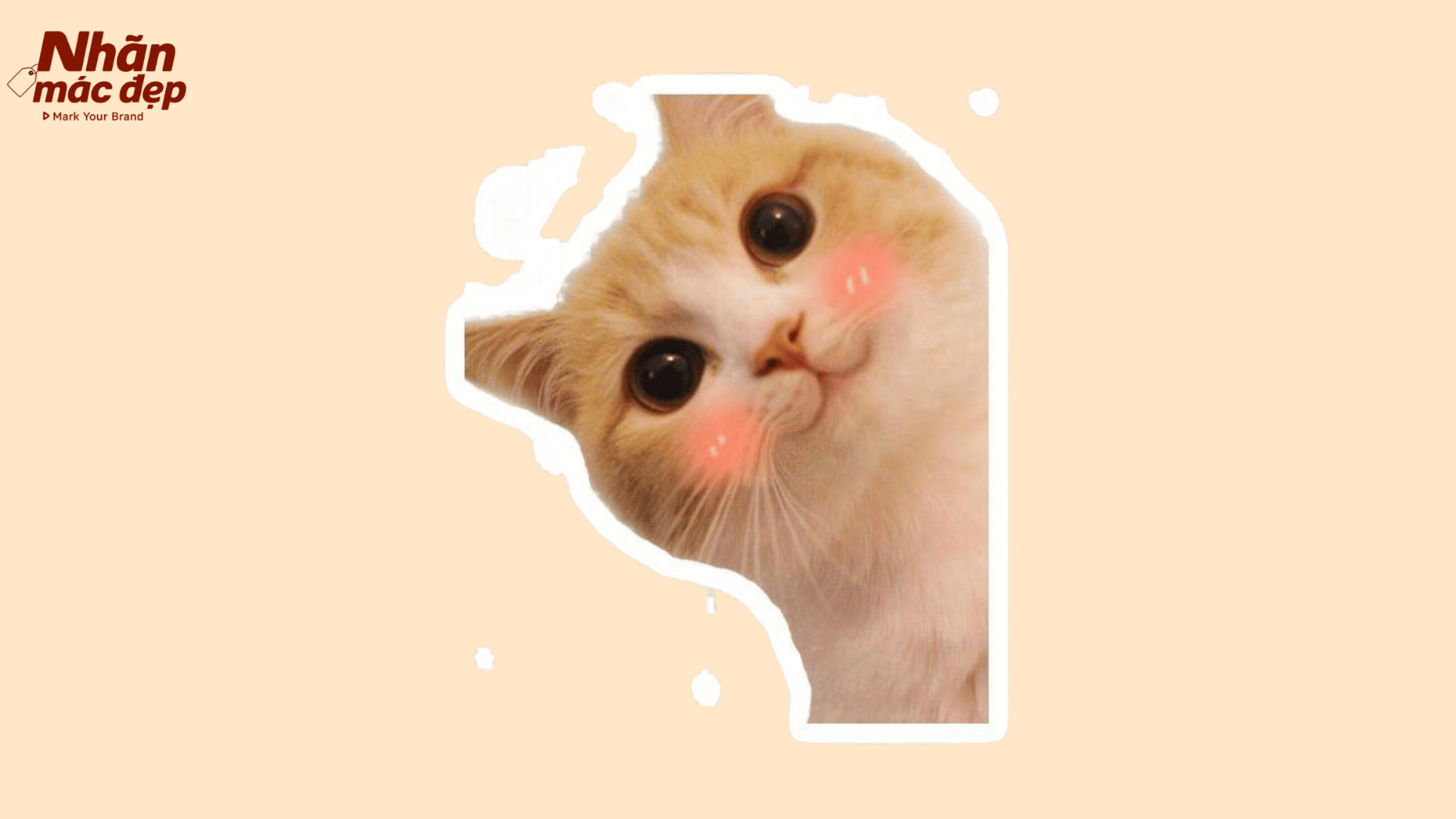Nhãn Mác Đẹp