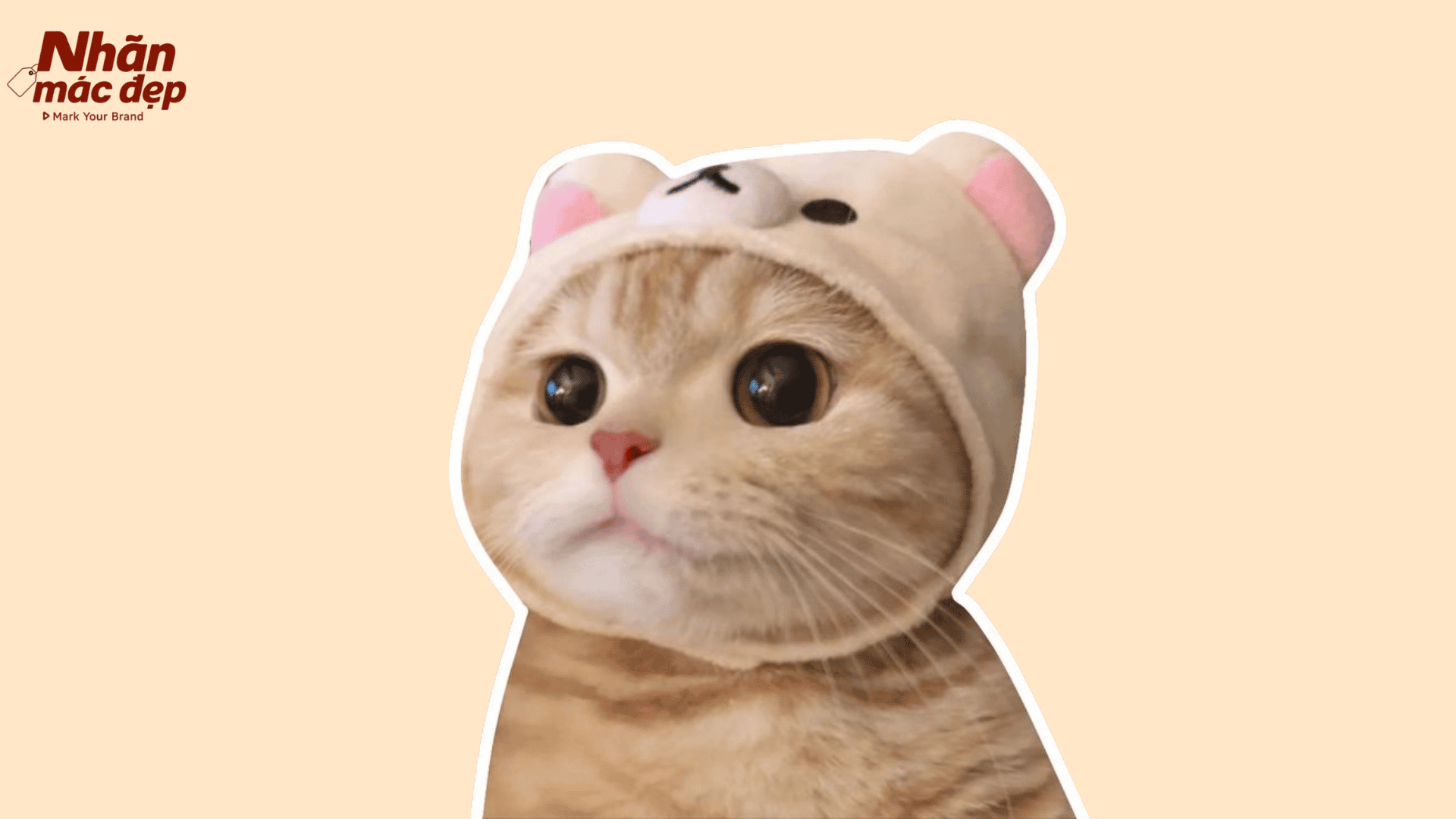 Nhãn Mác Đẹp