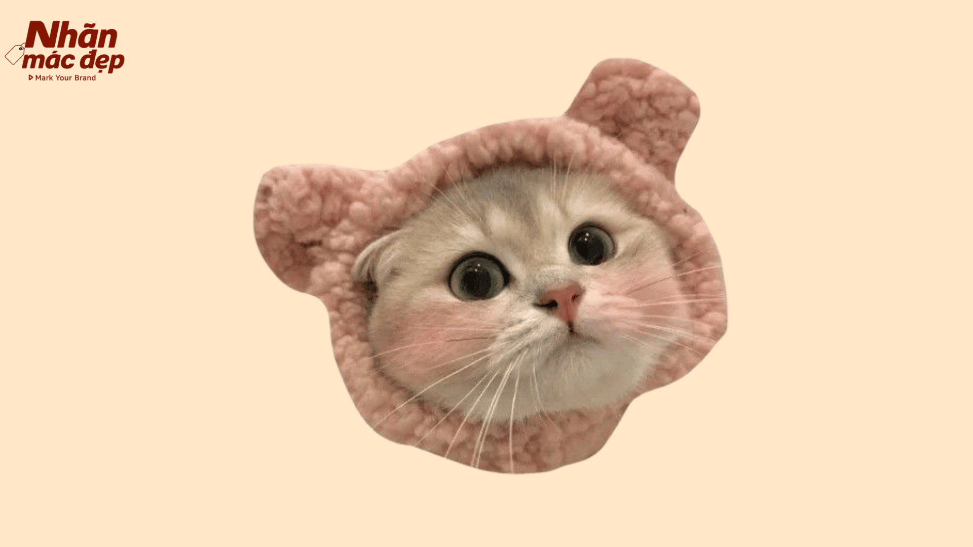Nhãn Mác Đẹp