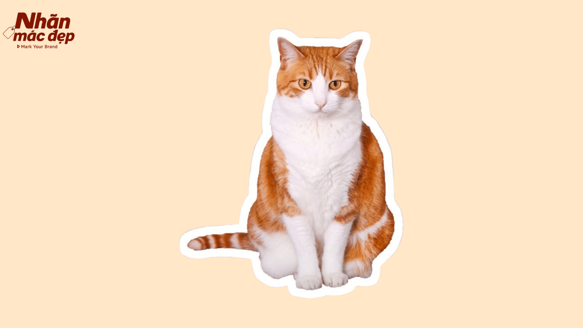 Nhãn Mác Đẹp