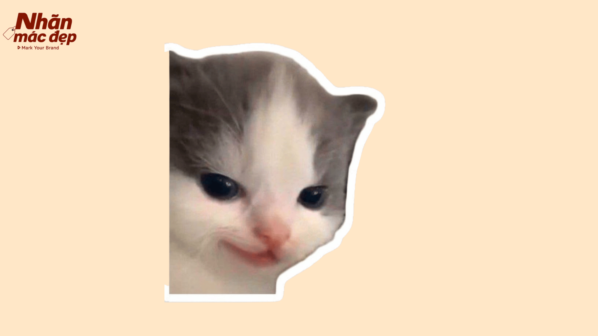 Nhãn Mác Đẹp