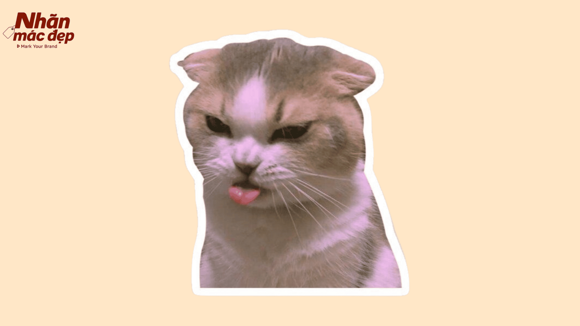 Nhãn Mác Đẹp