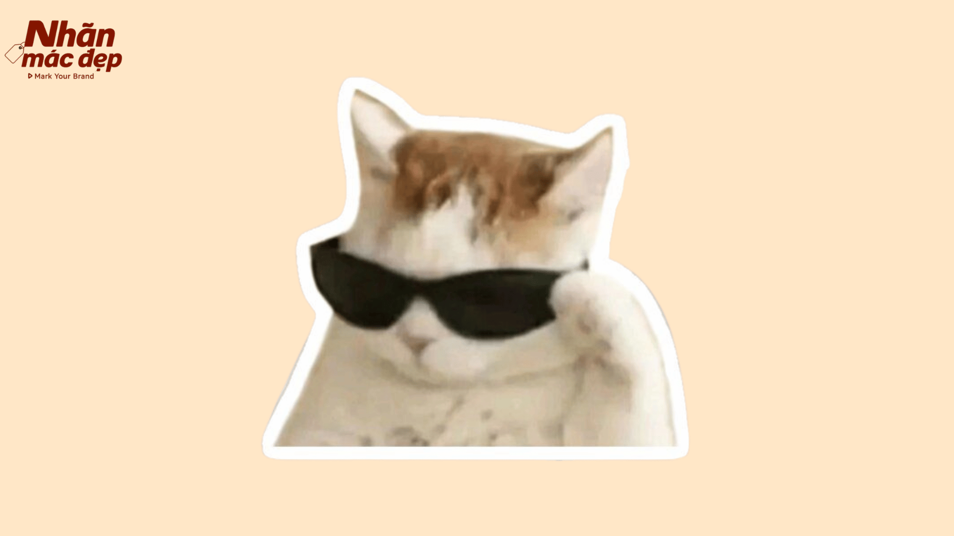 Nhãn Mác Đẹp