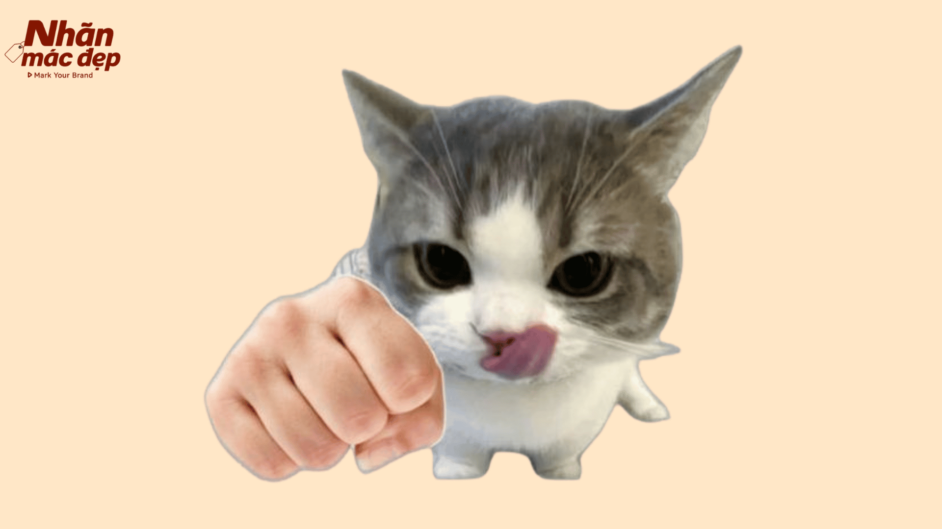 Nhãn Mác Đẹp