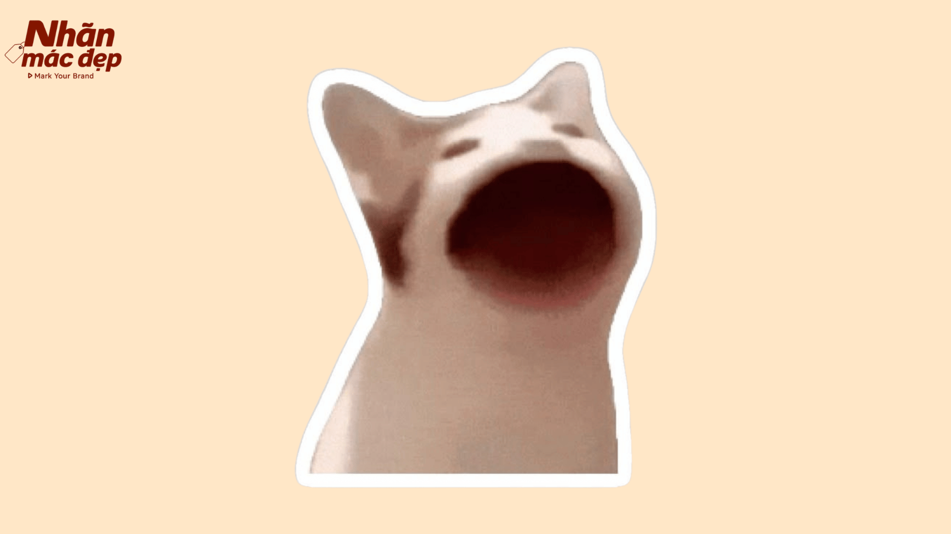Nhãn Mác Đẹp