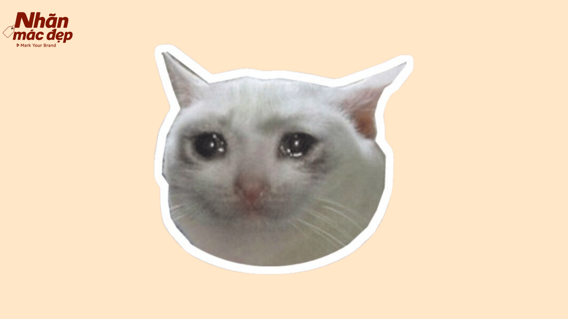Nhãn Mác Đẹp