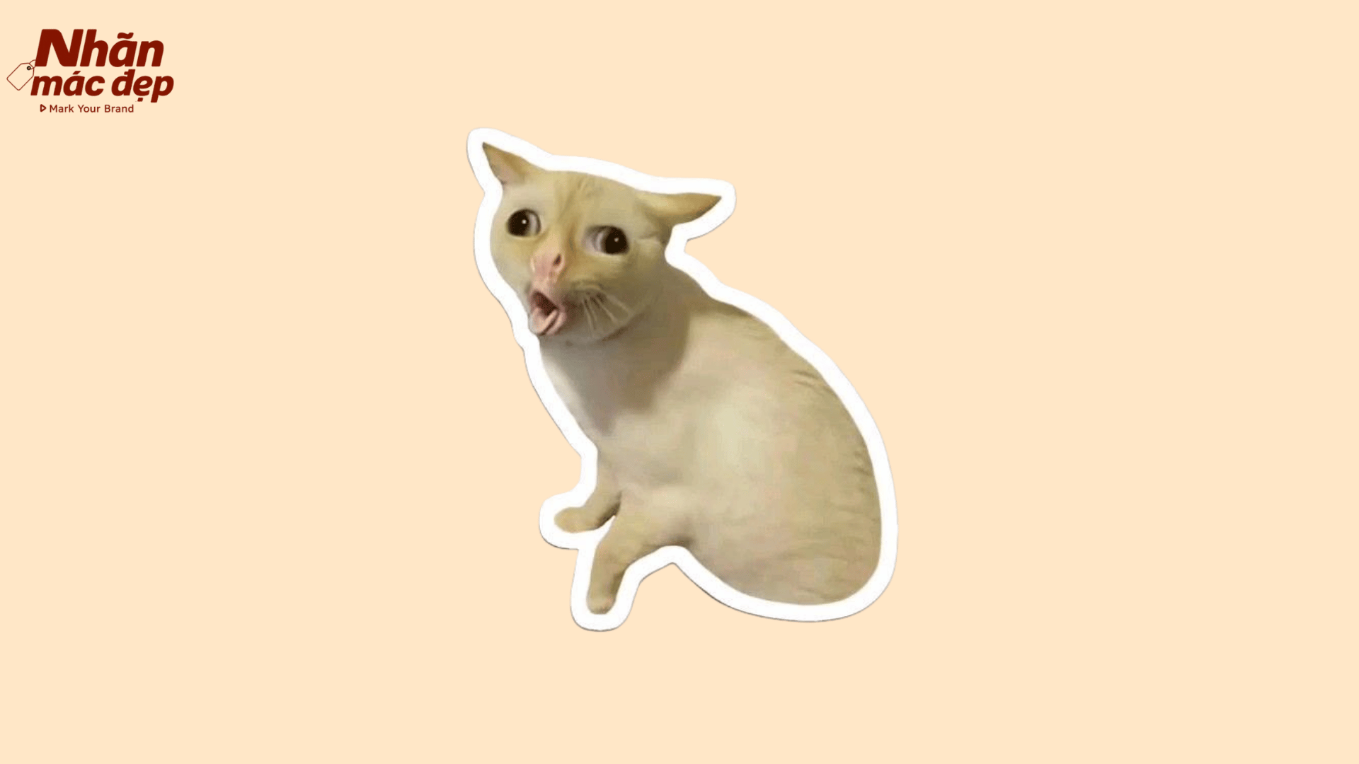 Nhãn Mác Đẹp