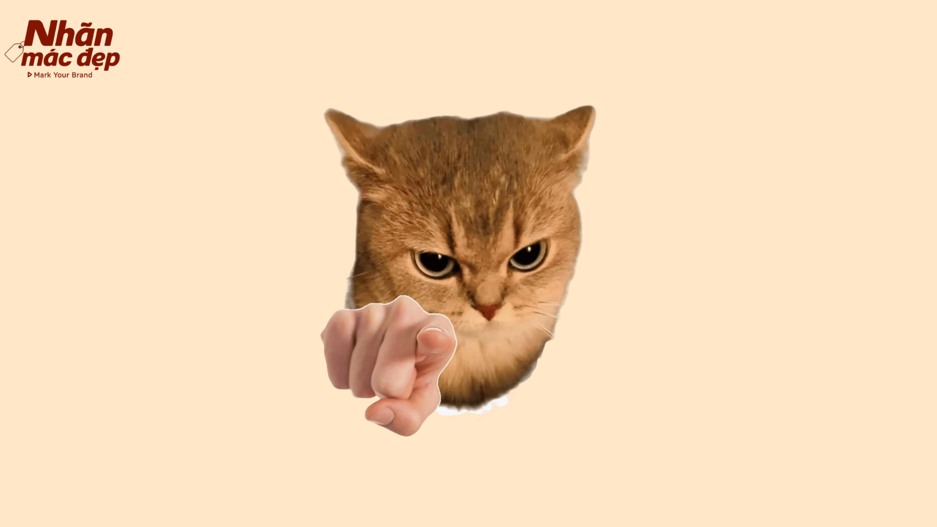 Nhãn Mác Đẹp