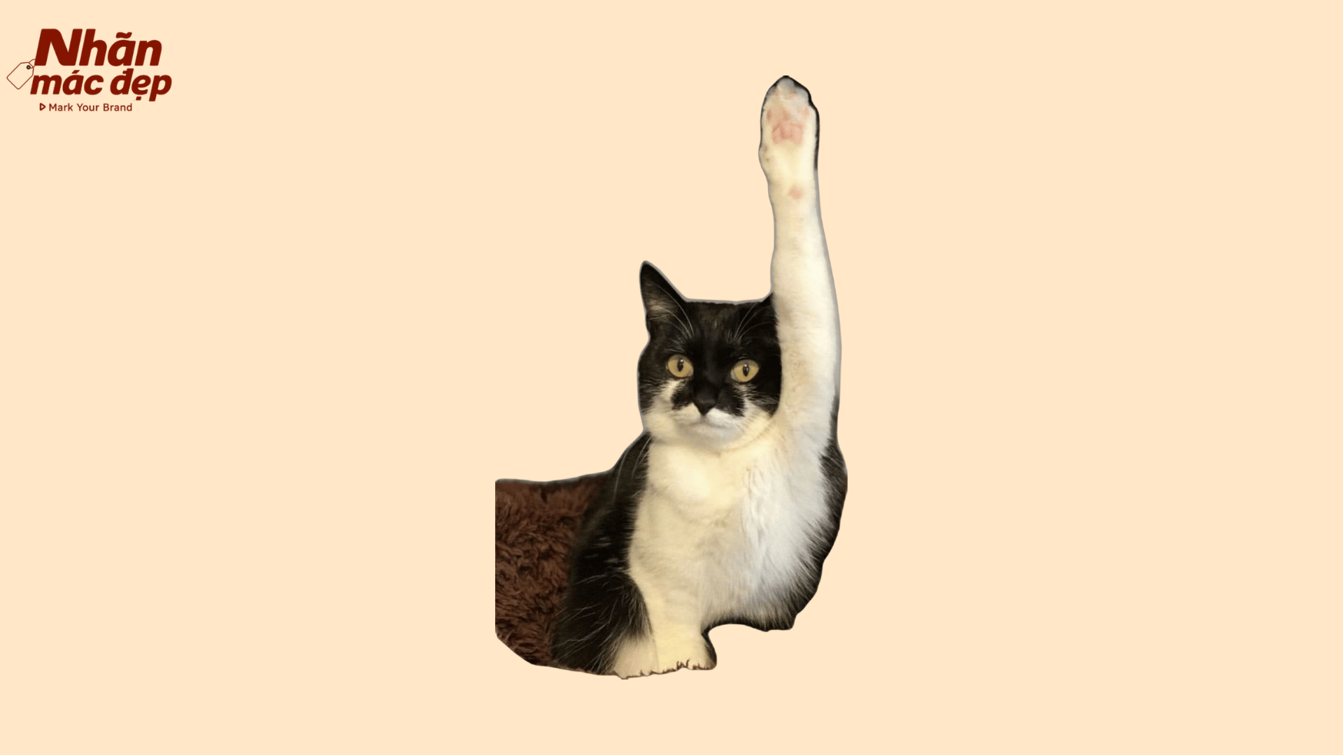 Nhãn Mác Đẹp