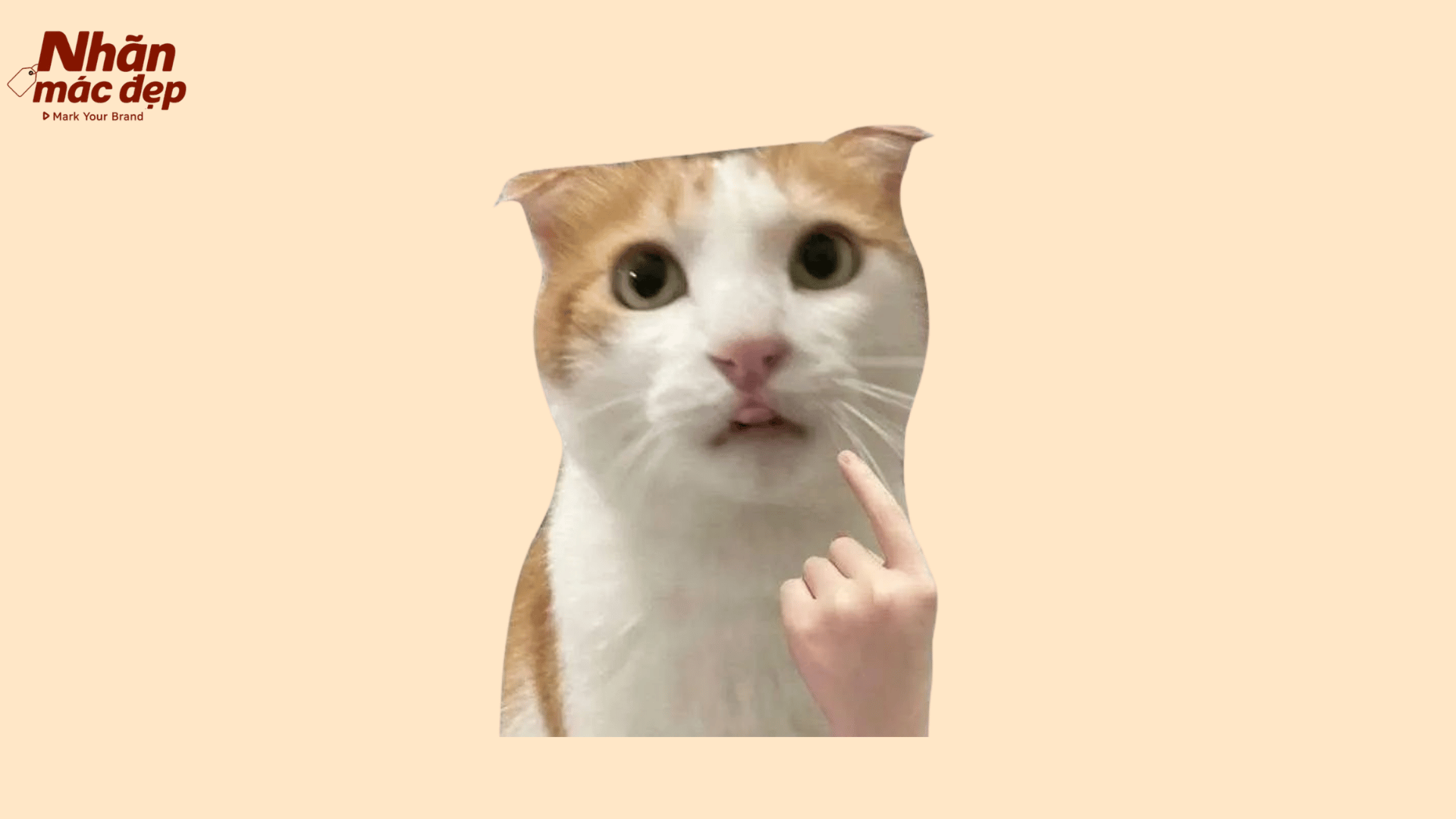 Nhãn Mác Đẹp