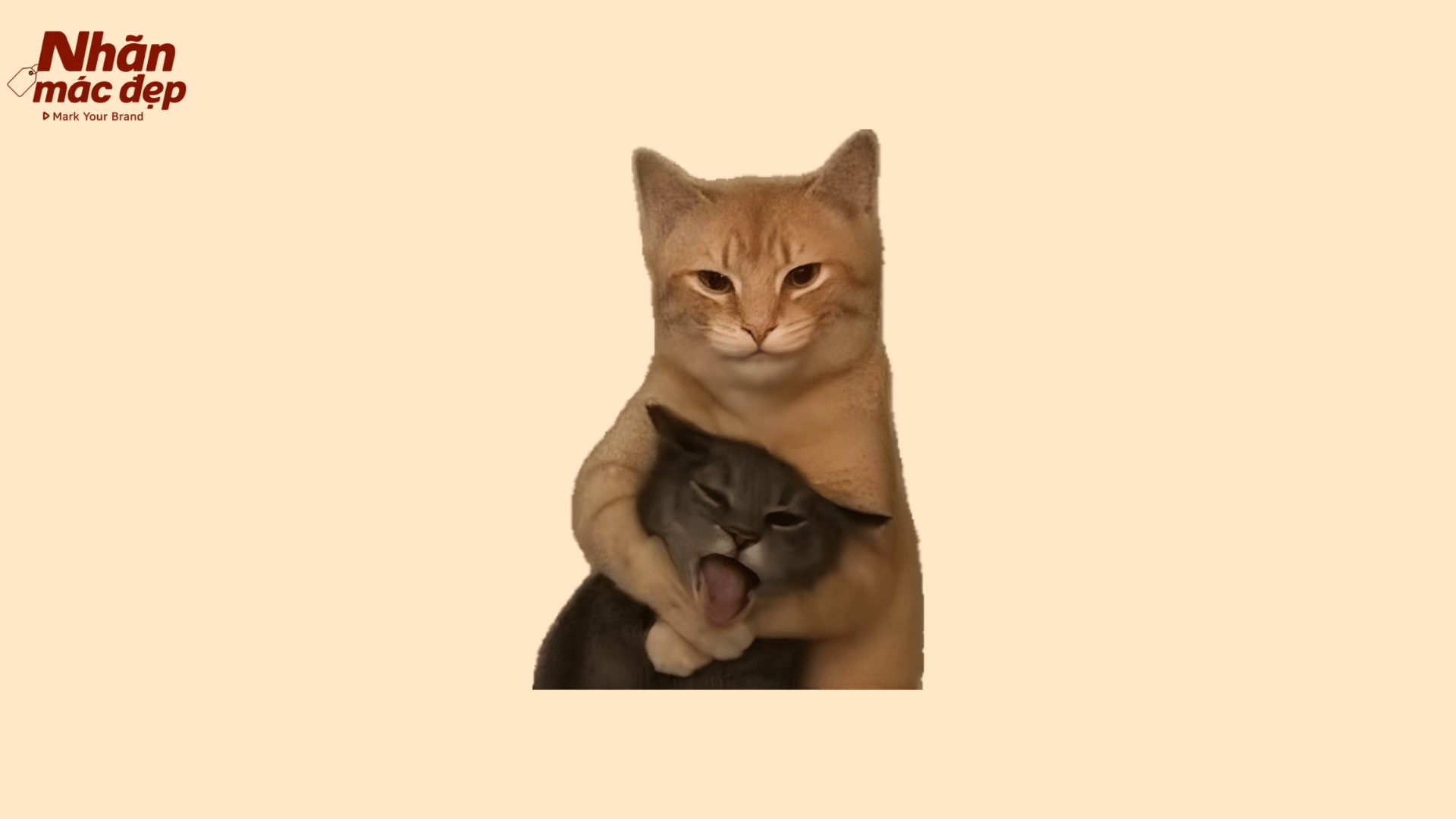 Nhãn Mác Đẹp