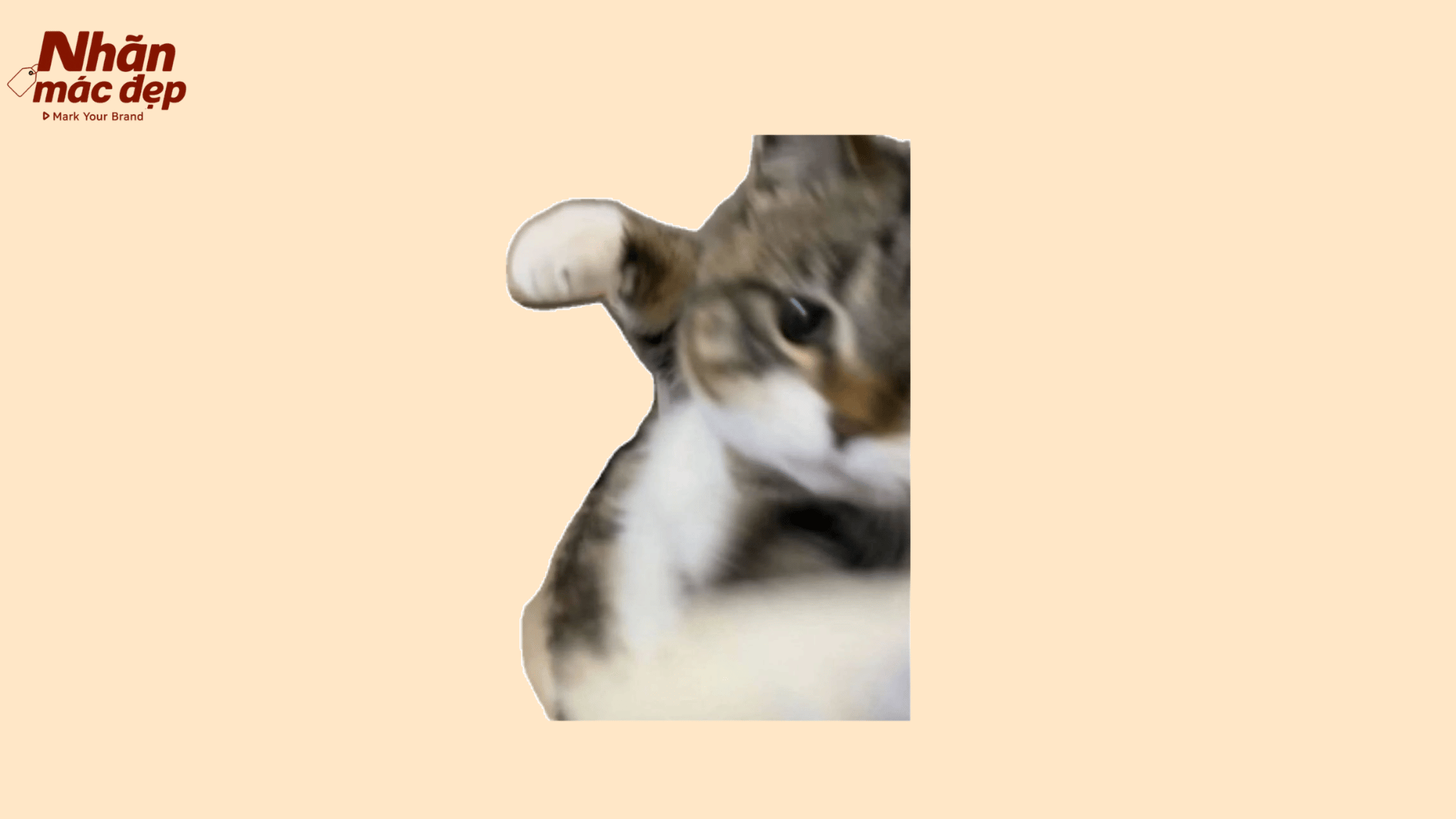 Nhãn Mác Đẹp