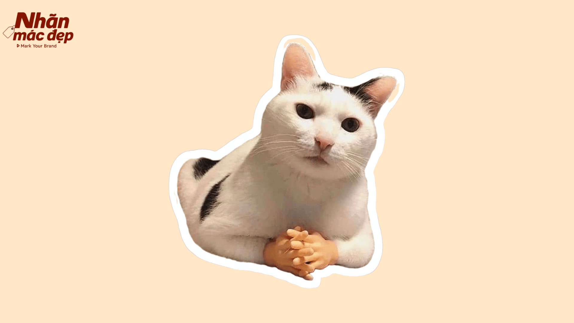 Nhãn Mác Đẹp