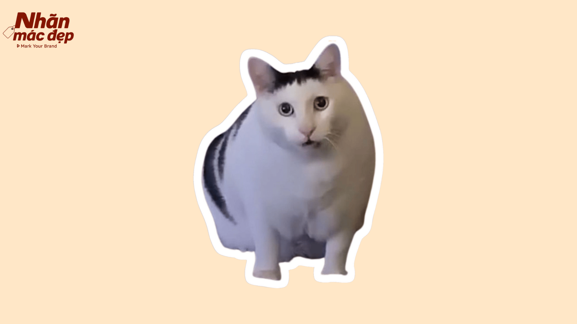 Nhãn Mác Đẹp
