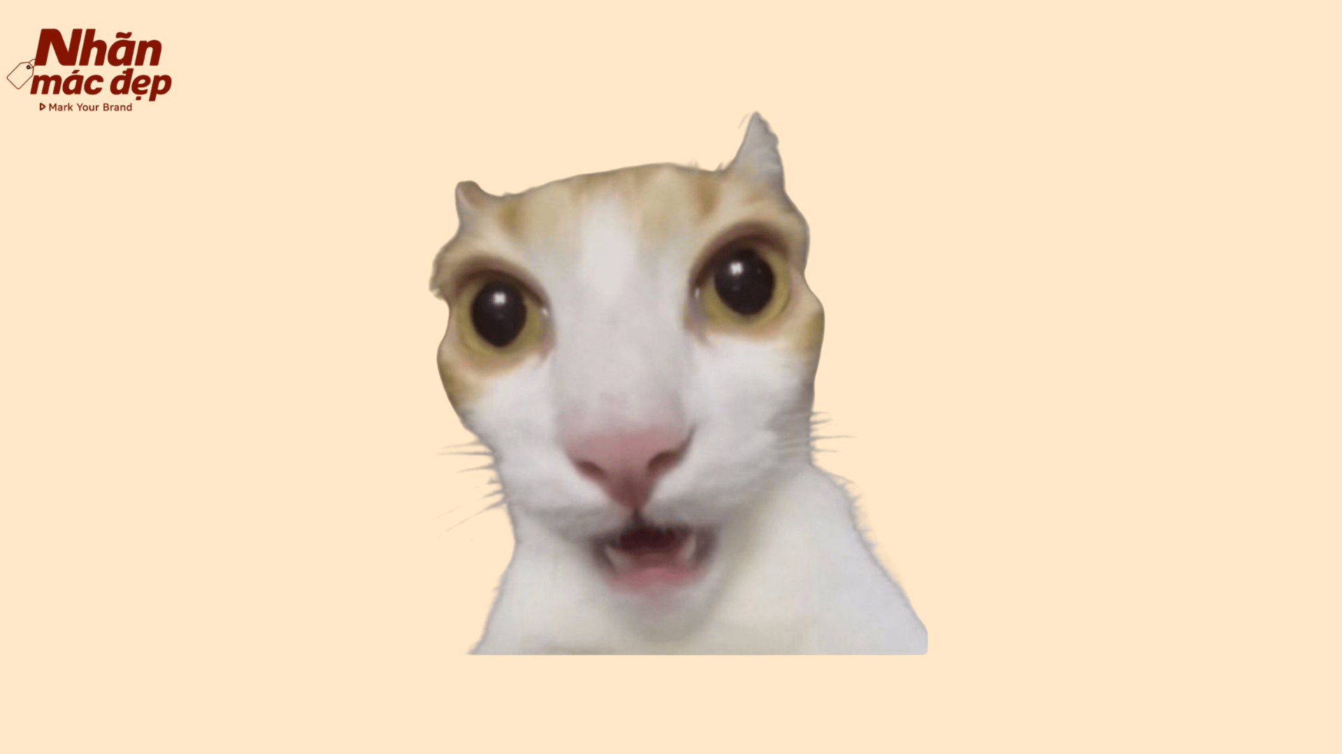 Nhãn Mác Đẹp