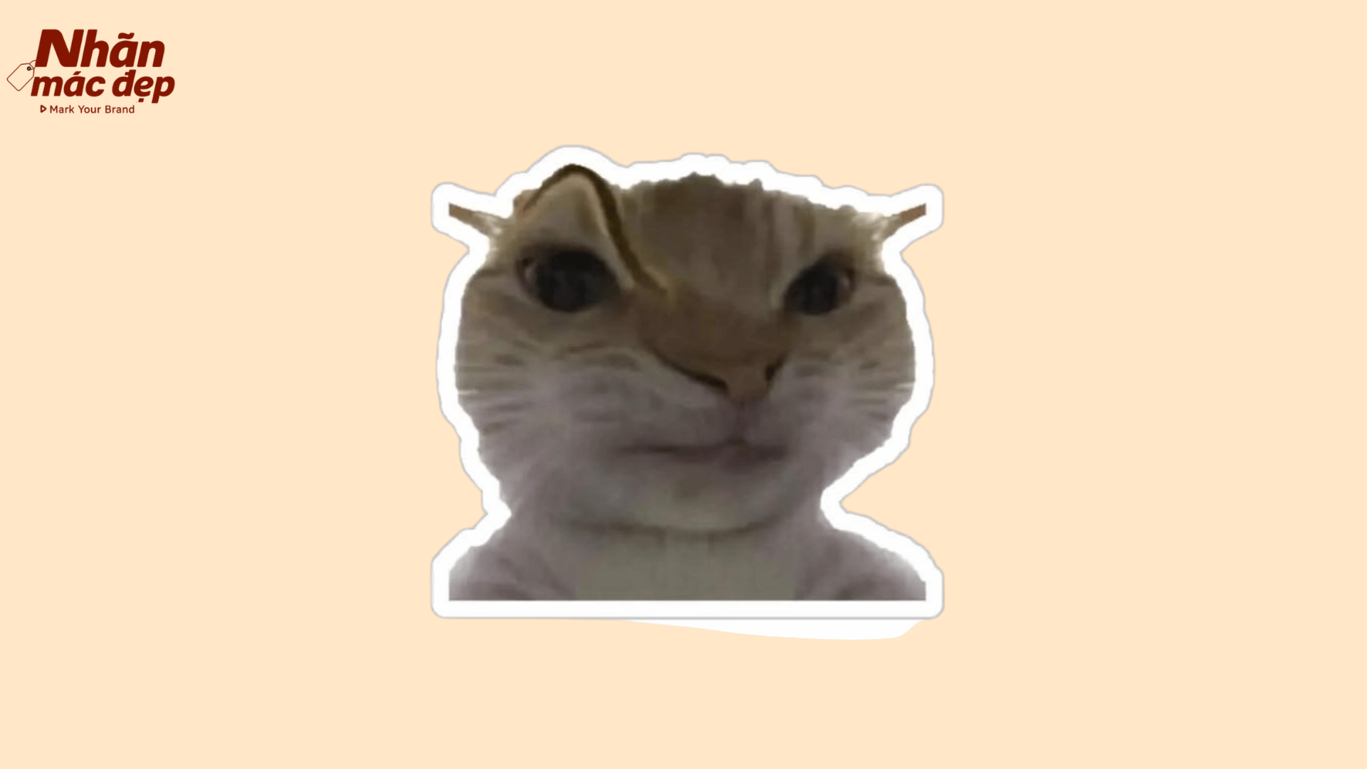 Nhãn Mác Đẹp
