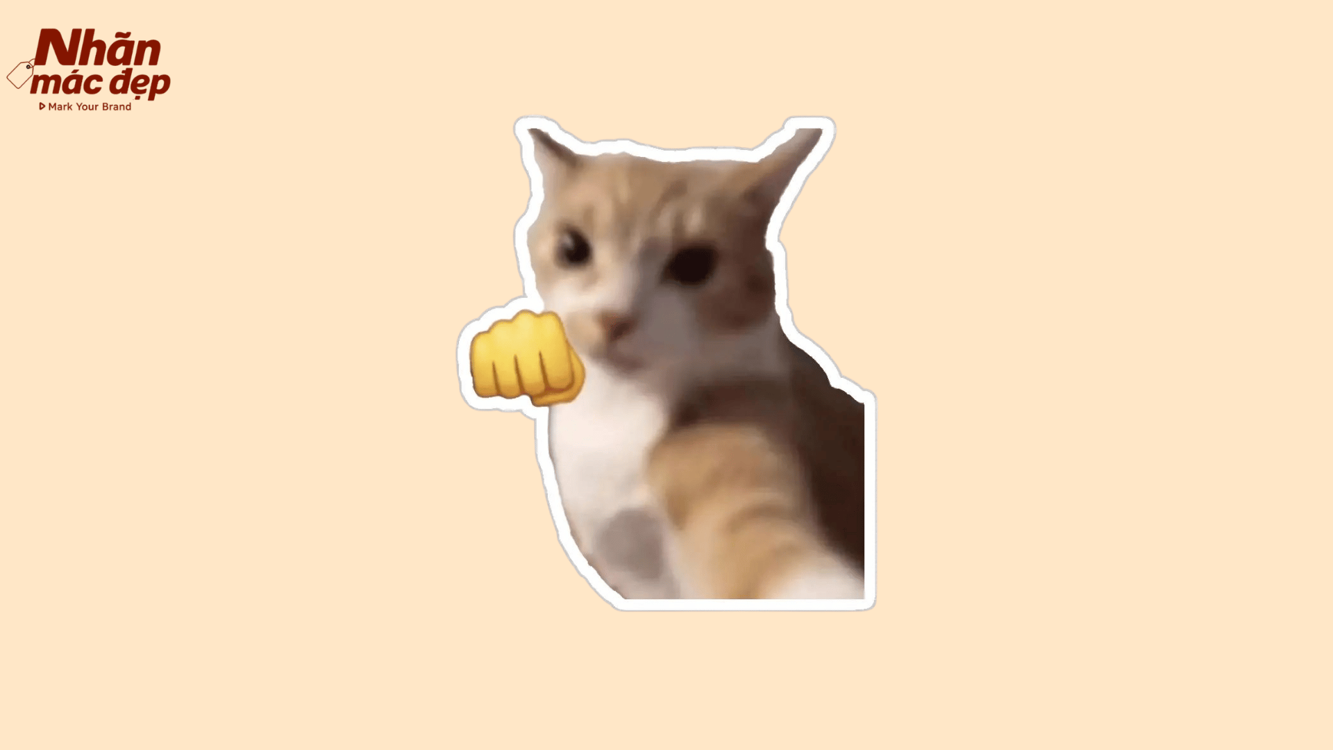 Nhãn Mác Đẹp