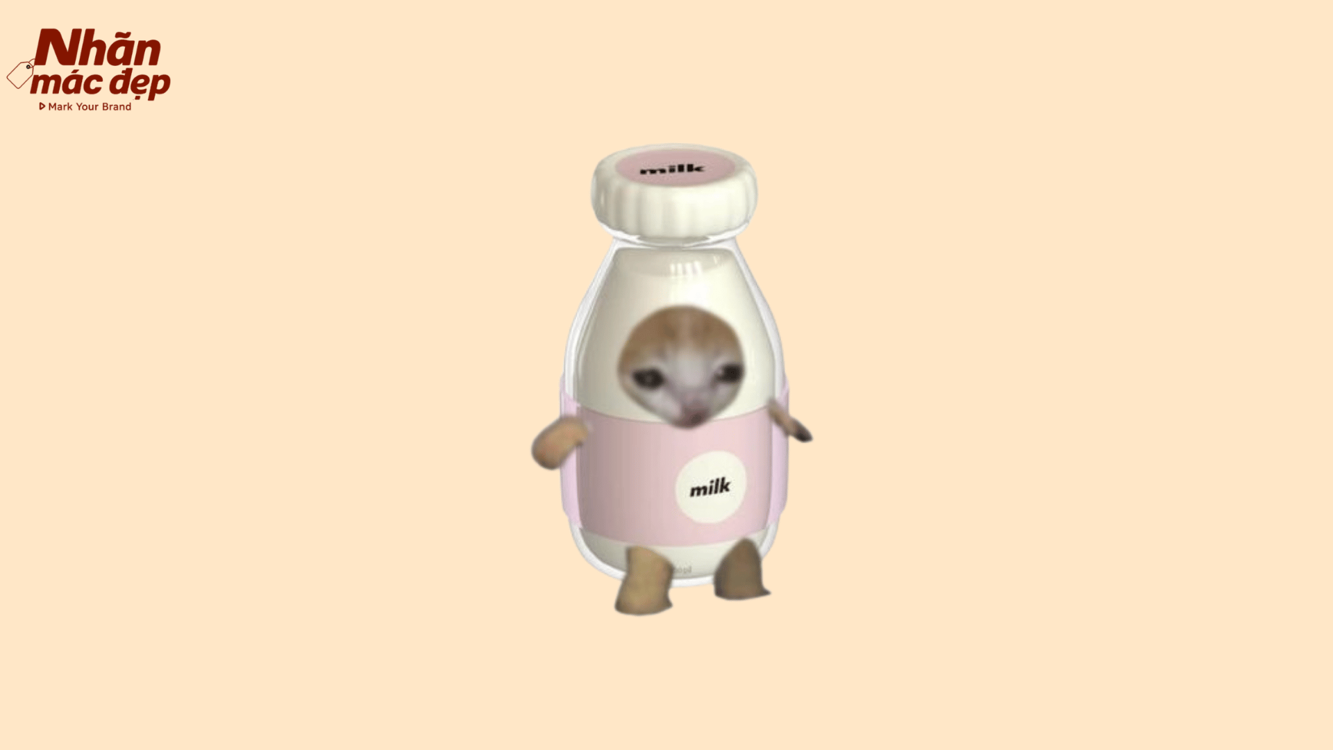 Nhãn Mác Đẹp