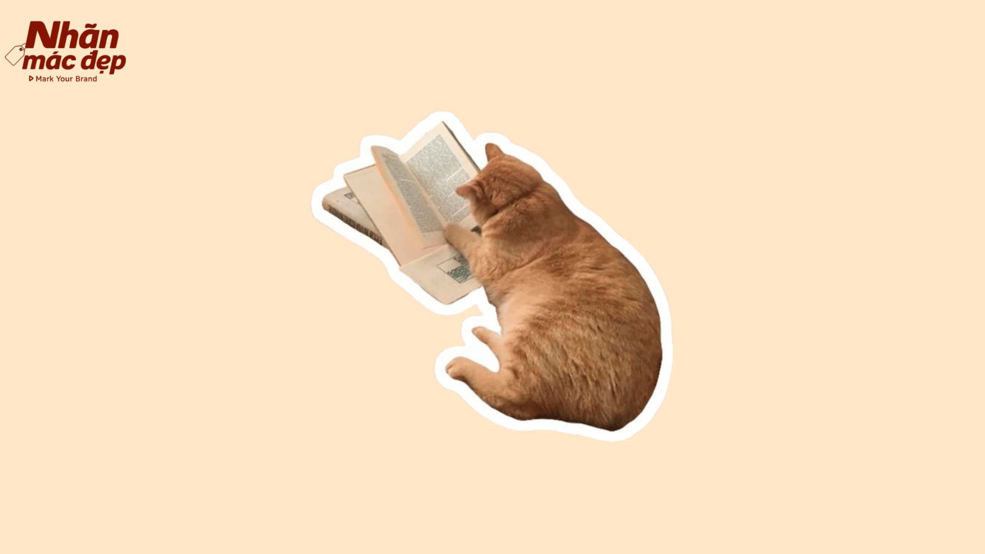 Nhãn Mác Đẹp