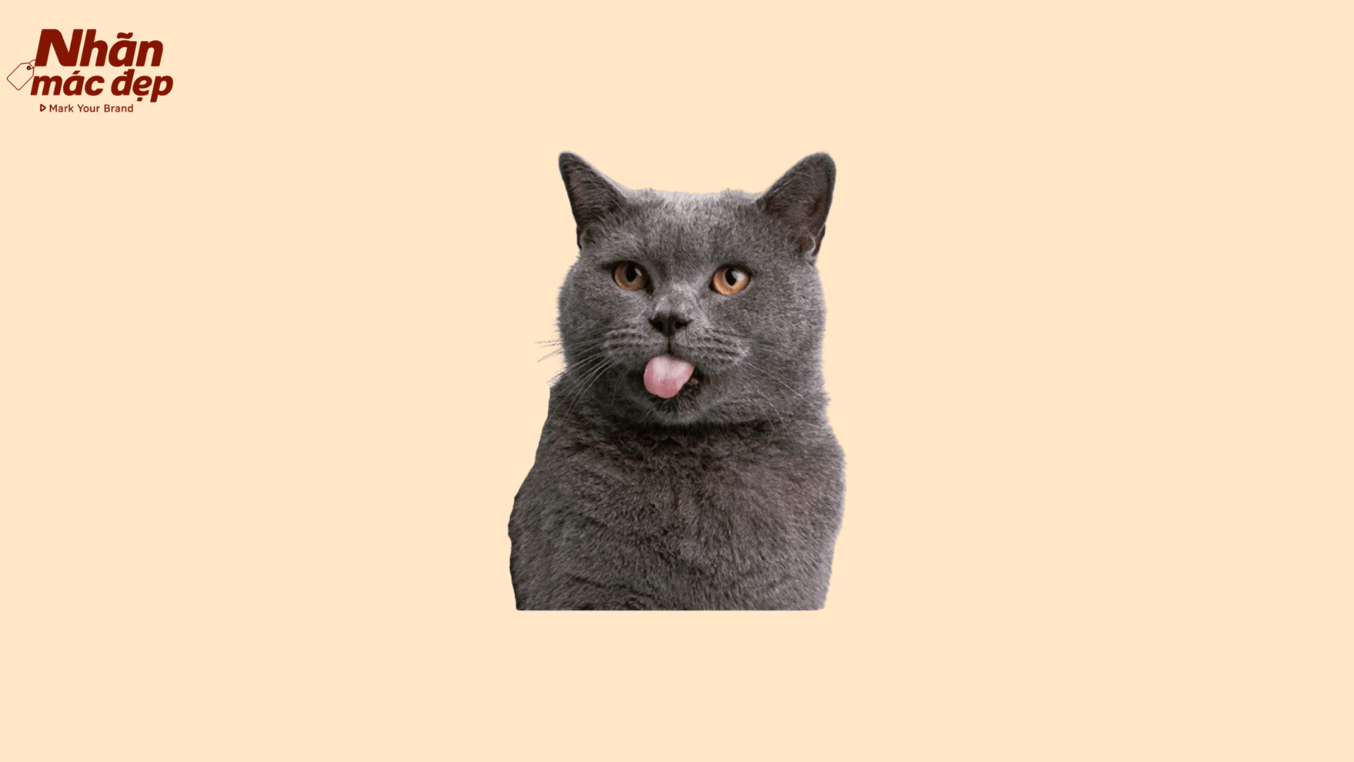 Nhãn Mác Đẹp