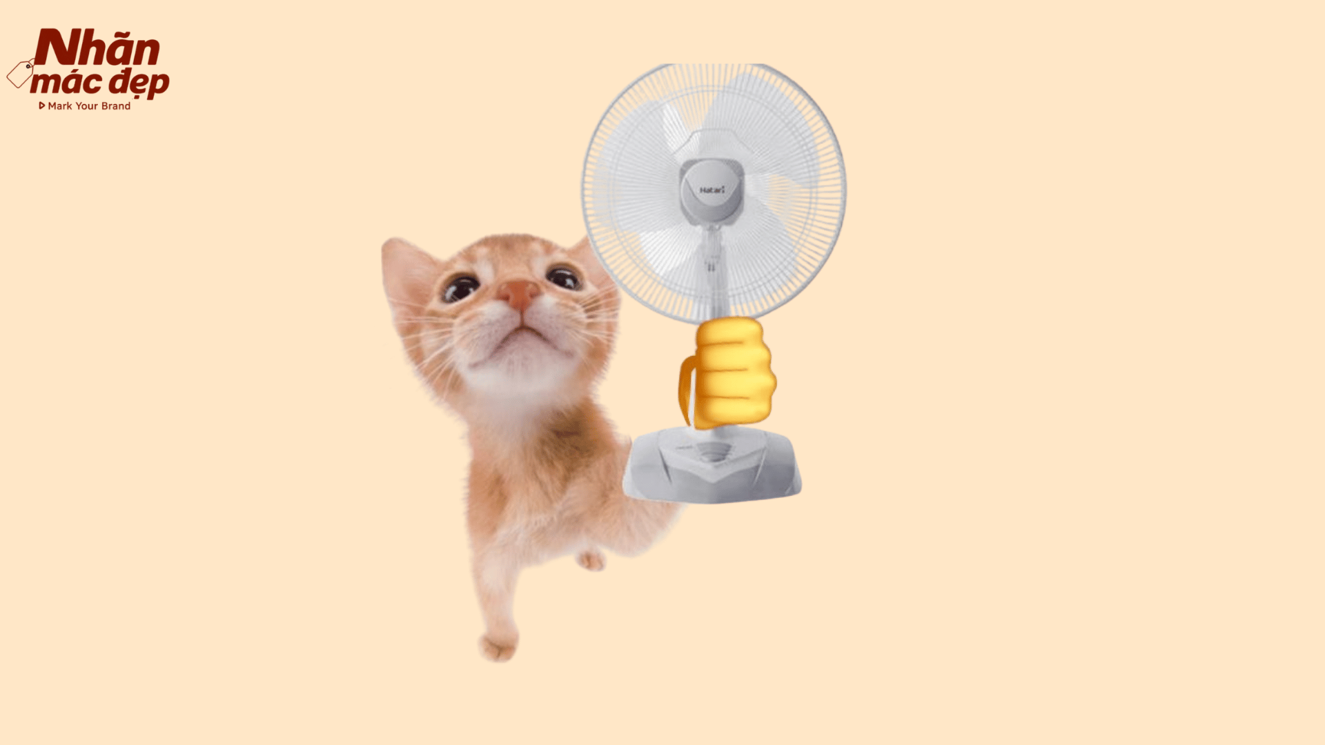Nhãn Mác Đẹp