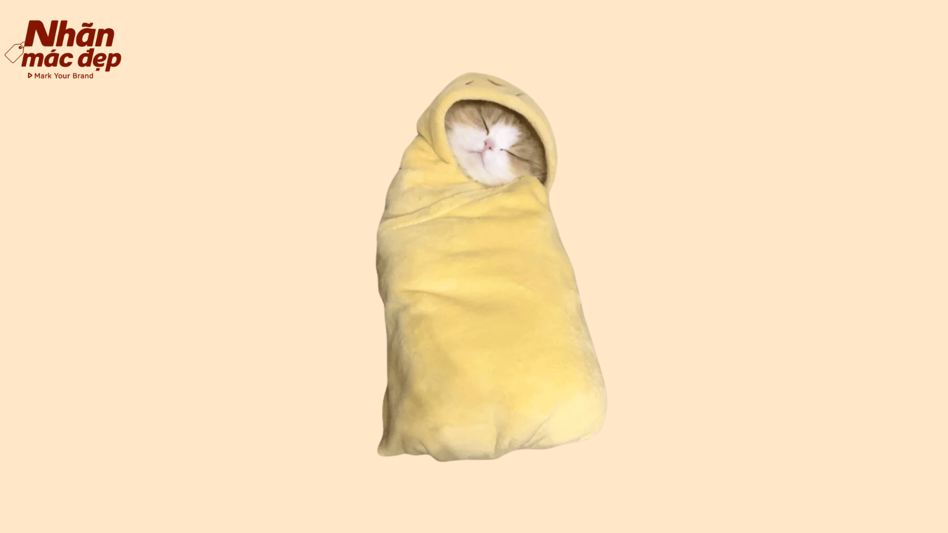 Nhãn Mác Đẹp