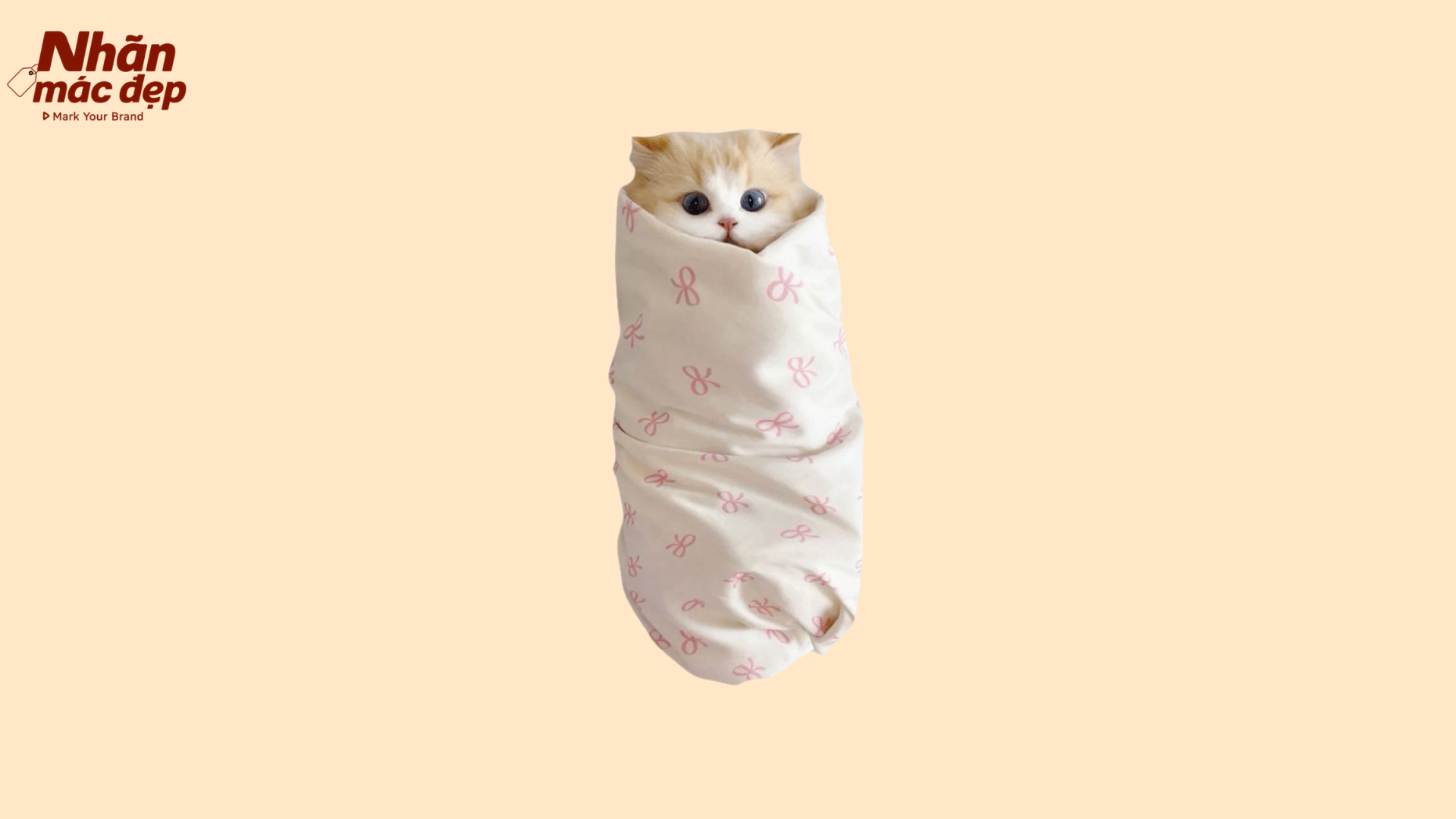 Nhãn Mác Đẹp