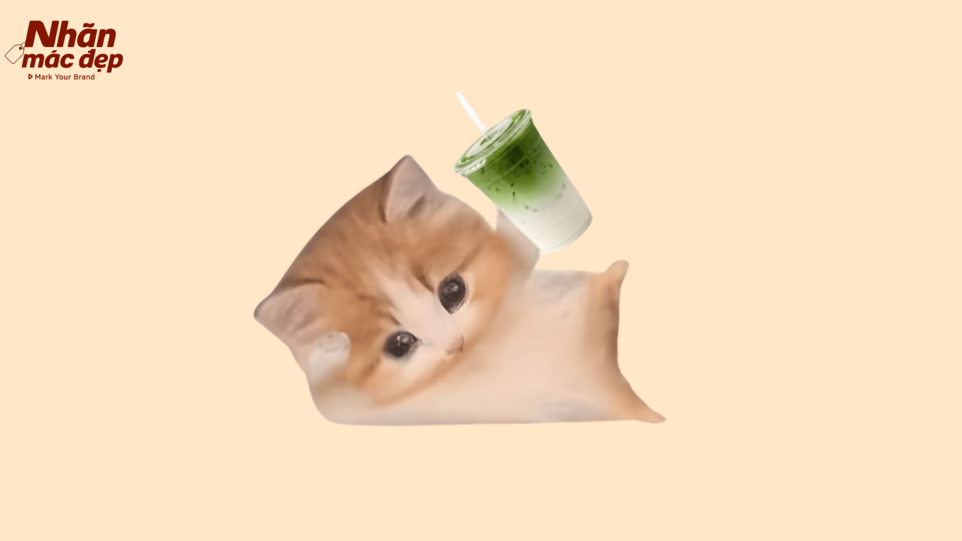 Nhãn Mác Đẹp