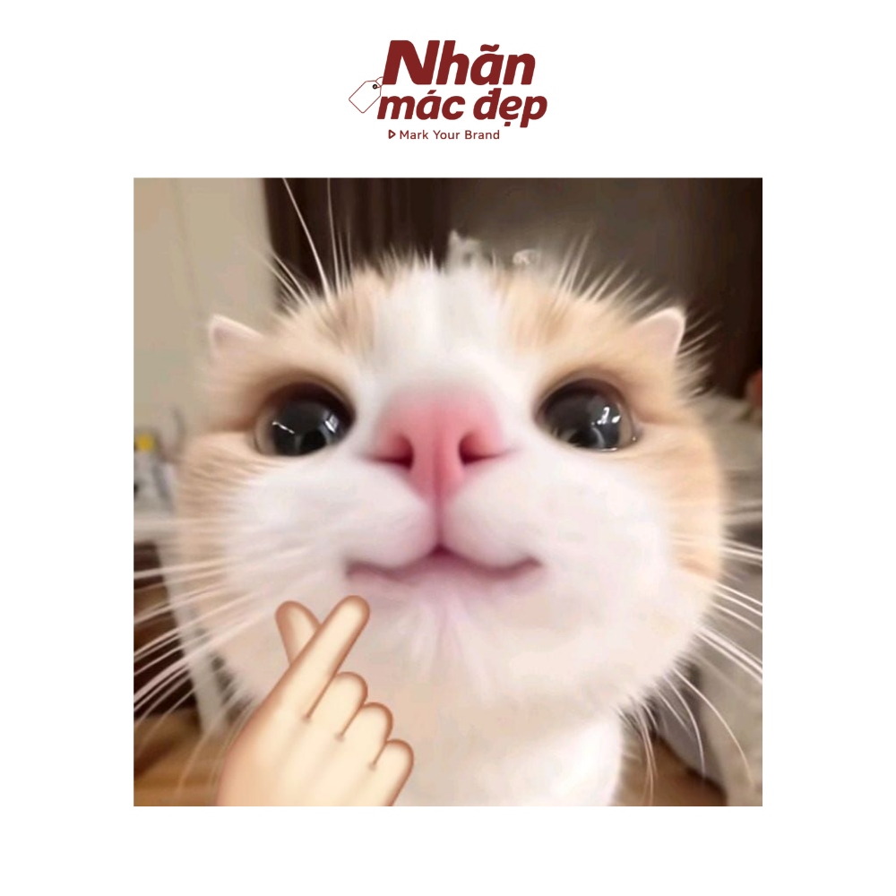 Nhãn Mác Đẹp
