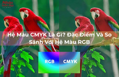 Nhãn Mác Đẹp