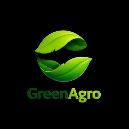Logo lá trà mang phong cách hiện đại 7